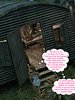 It's not like anything is going to happen so my husband can't complain - Together in the army now 2 by Dark Lord